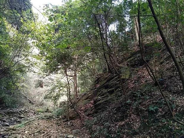 传音为何赢得「非洲手机之王」称号，却难以「回国」？