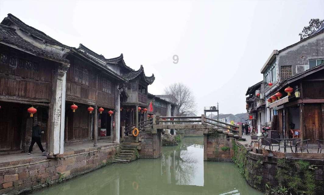 飞扬的独眼鸟